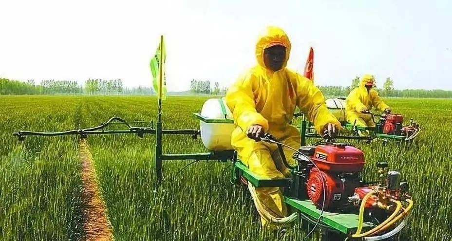 【模式研究】农业生产托管利益分配模式比力研究_太阳成集团tyc(图2) 
【模式研究】农业生产托管利益分配模式比力研究_太阳成集团tyc(图2)