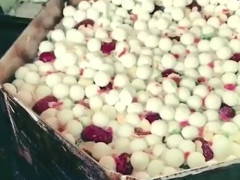 Polestar发布公告 任命新全球公关负责人‘太阳成集团tyc’(图4) 太阳成官网