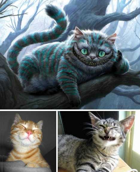 Polestar发布公告 任命新全球公关负责人‘太阳成集团tyc’(图2) 太阳集团tyc