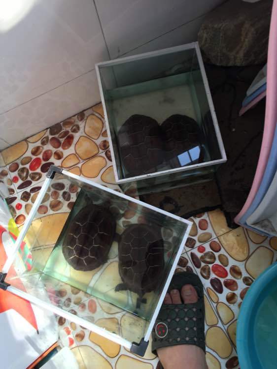 英国19岁美女为物质生活休学 已被11名大龄男性包养-太阳成官网(图4) 太阳成集团tyc