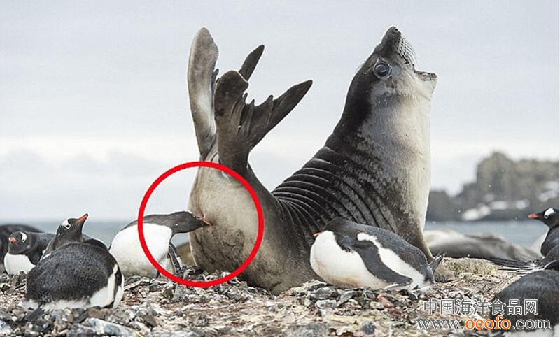 电动车续航≤150KM取消补贴 过渡期按0.7倍补贴“太阳集团tyc”(图4) 太阳集团tyc